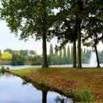 番号库搜索器教程:轻松掌握快速查找影视资源的技巧与方法 fhjvj