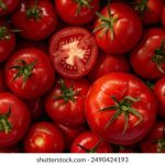 番号库跳转:探索最新影视资源的便捷方式与技巧 s49av1y