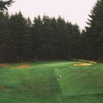 番号大全安卓:全面解析热门番号与下载资源推荐 s7x4wqa1