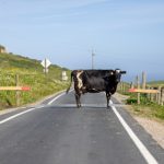 畅玩纸牌接龙单机游戏,挑战你的智力极限 w8vguu